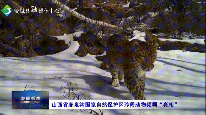 640.gif